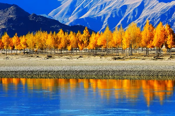 Nyingchi in October
