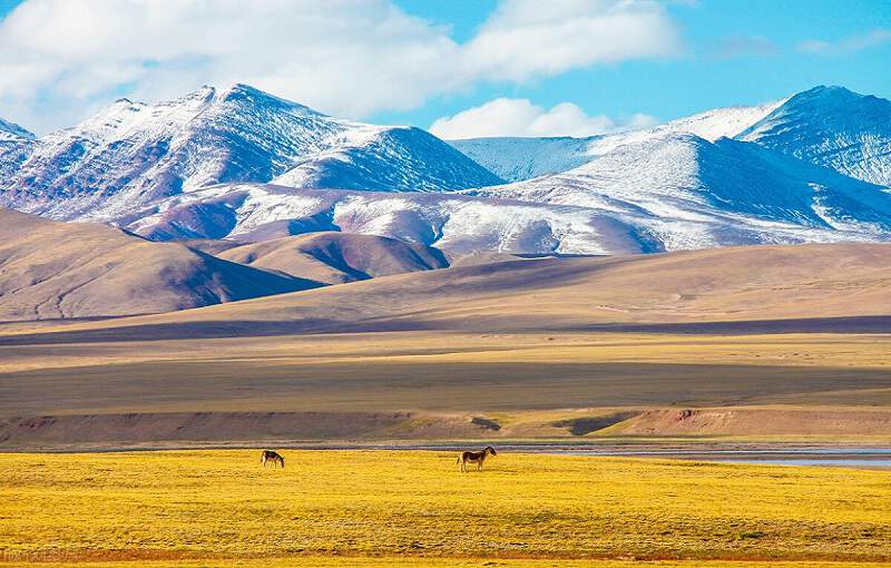 Tibetan Plateau
