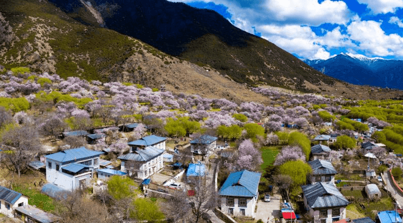 Gala Peach Blossom Village