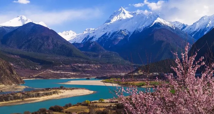 Mt. Namcha Barwa and Peach Blossoms