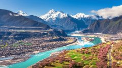 Nyingchi Peach Blossom Tour Tibet March April: Complete 2026 Guide