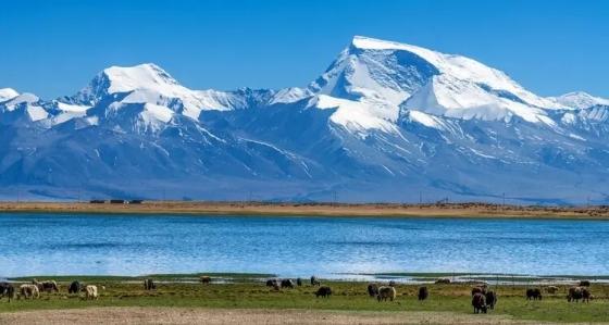 Lake Manasarovar Tibet: A Sacred Lake Beneath Mount Kailash