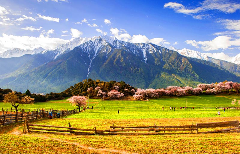 Suosong Village in Milin