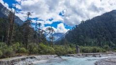 The Tropical Oasis on the Plateau: Medog Travel Guide & Local Cuisine