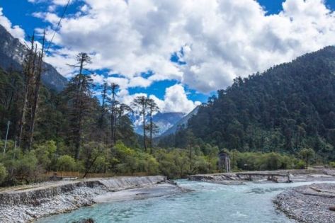 The Tropical Oasis on the Plateau: Medog Travel Guide & Local Cuisine