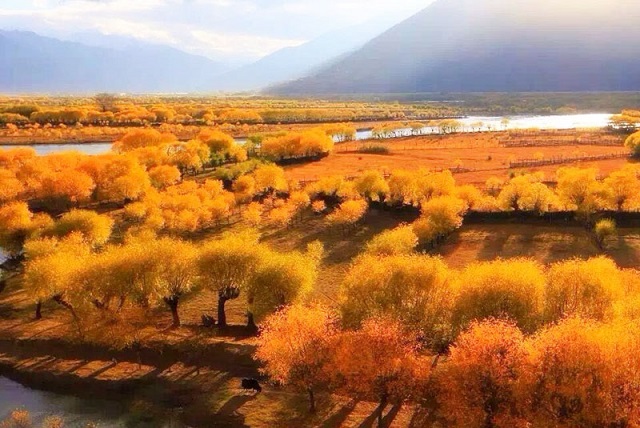 Autumn in Tibet
