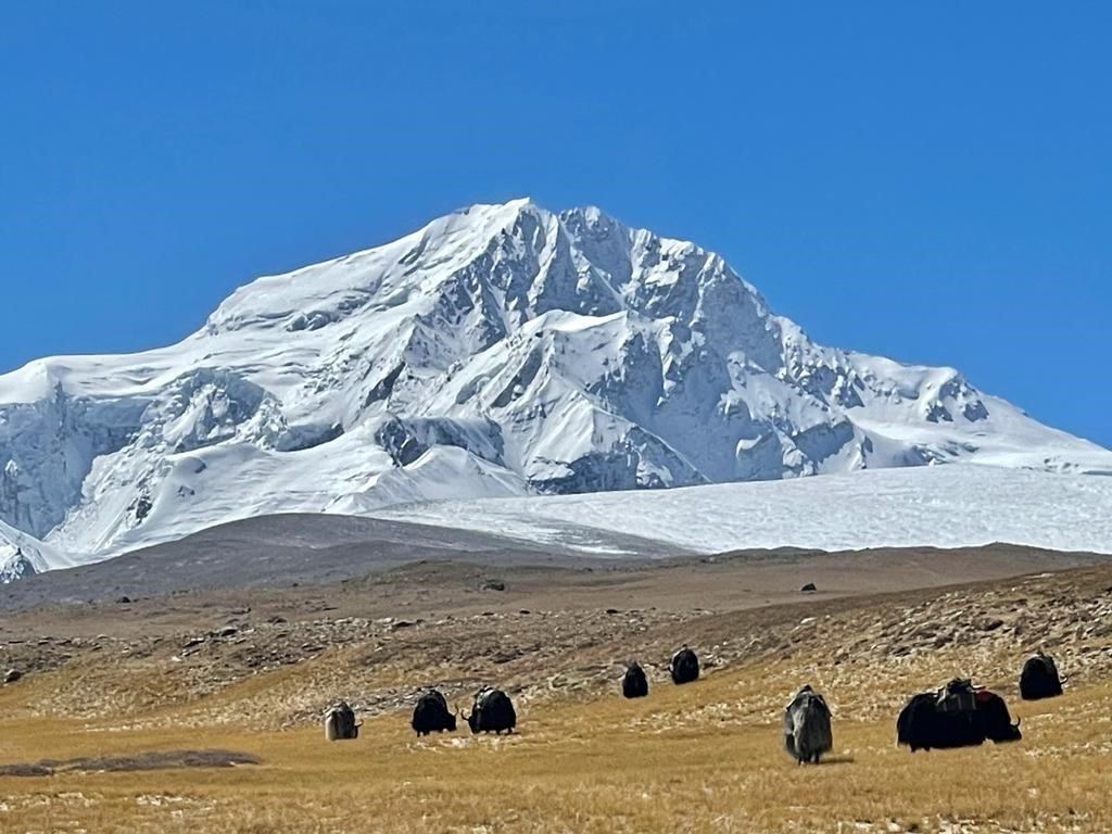 Shishapangma from near Base Camp