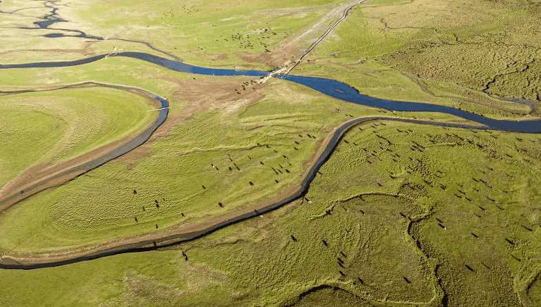 View of A Rag Wetland in Damxung County of Lhasa