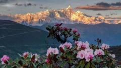Best Way to See Mount Everest: A Complete Guide to Everest Views in Tibet