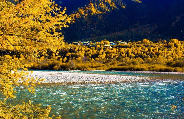 Nyingchi in Autumn