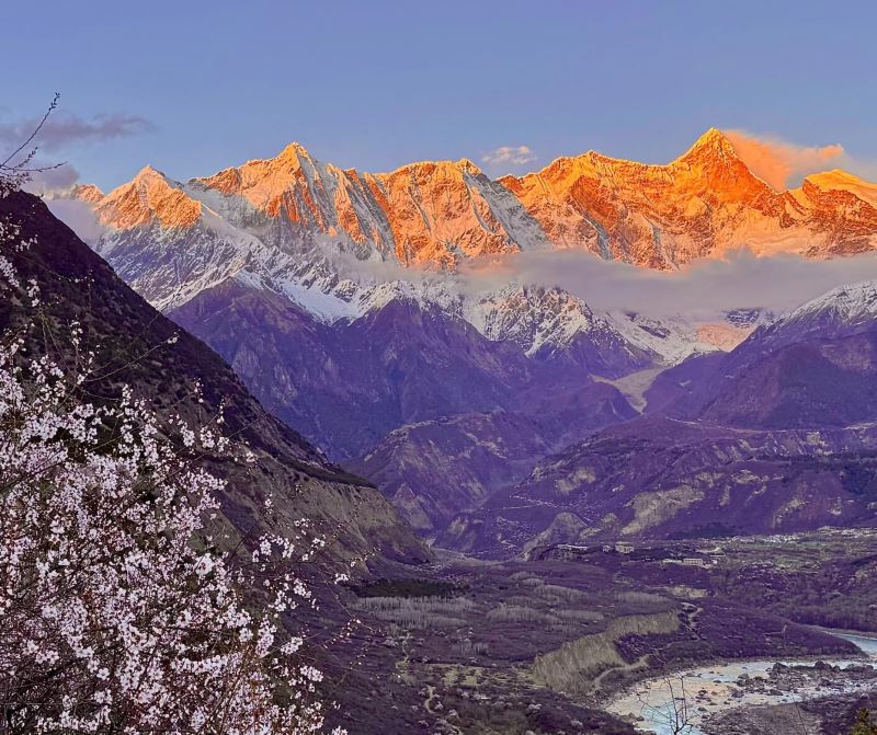 Peach Blossom Season at Mount Namcha Barwa