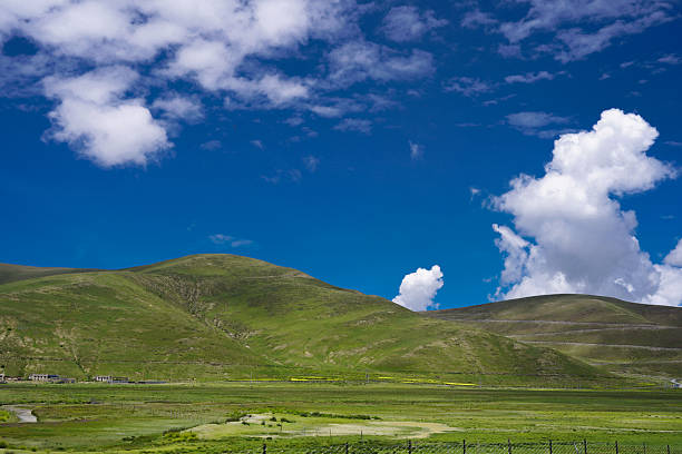 Tibetan grassland