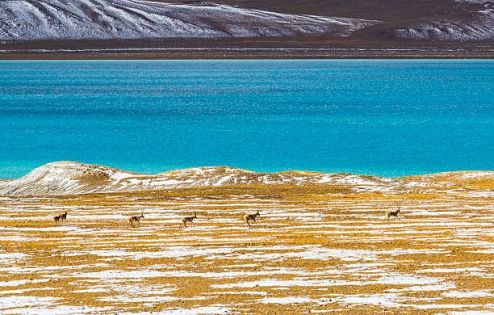Roof of the Roof of the World: A Deep-Dive Travel Guide to Ngari, Tibet