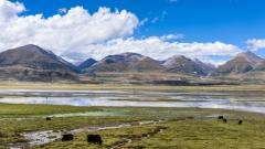 At the Peak of World Railways: Exploring Tanggula Station Above the Clouds