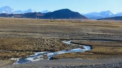 Tibet Group Tour vs. Customized Private Tour Guide