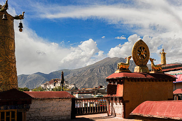 A unique perspective of the distant Potala Palace