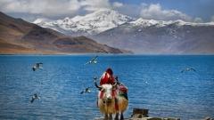 Guide to the 2027 Yamdrok Lake Kora in Tibet