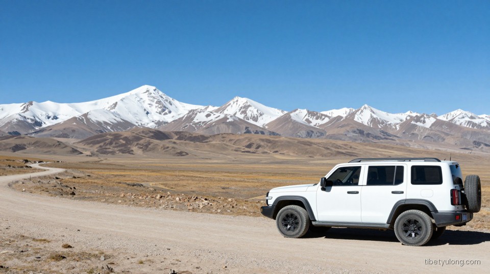 Tibet Road Trip Toilets: A Practical Guide for Travelers