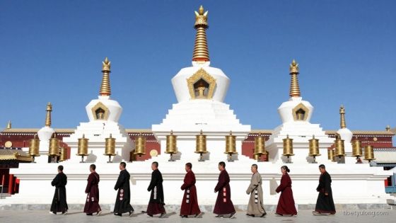 Saga Dawa Festival: A Complete Guide to Tibet's Holiest Celebration