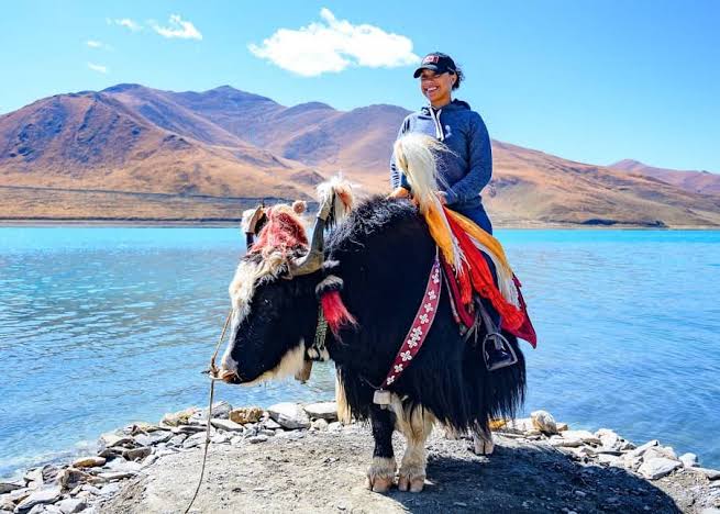 Yak Riding Experience in Tibet