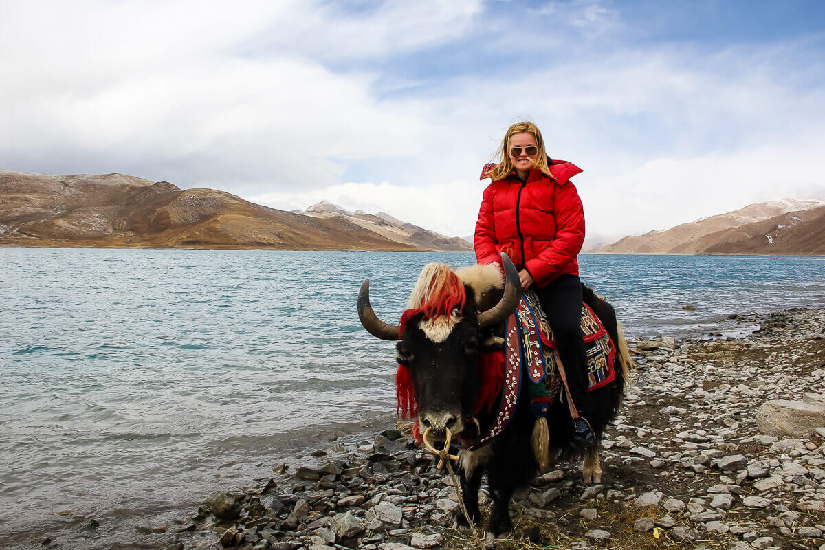 Yak Riding Experience in tibet